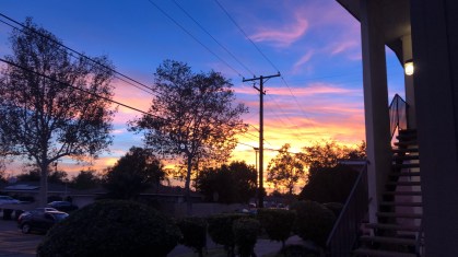 219F92CA-72DB-461C-804F-F3FAF2C2CD31