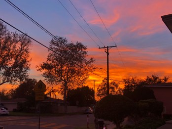 BBA3DCE8-49DB-4289-B424-03E304056F7D