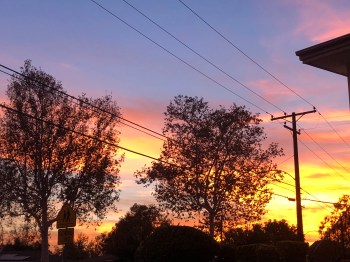 F7427537-6862-47B8-8C09-A069CF21E839