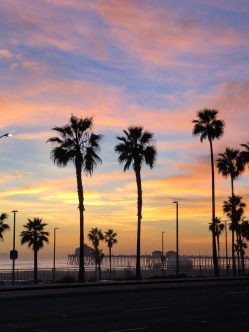 2ACE5E04-EC5A-4358-920B-BE3897DC5BB1