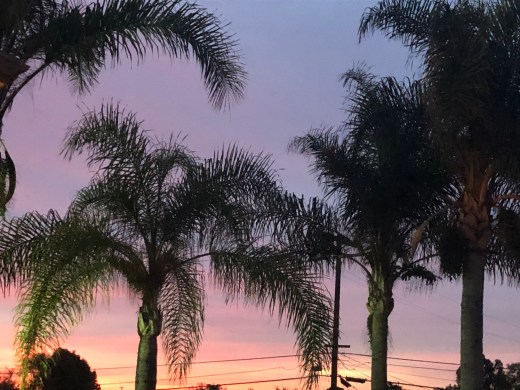 92886D09-9064-4B96-8C6B-D631C65E2118