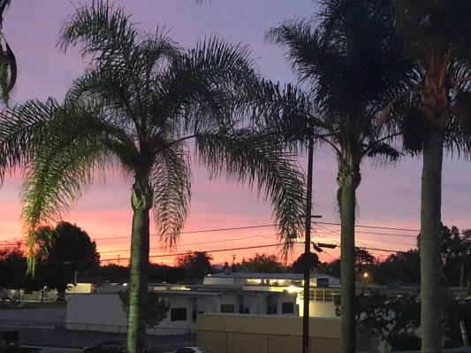 9F597D2D-D3CC-4CD9-85D6-322F3A690D52