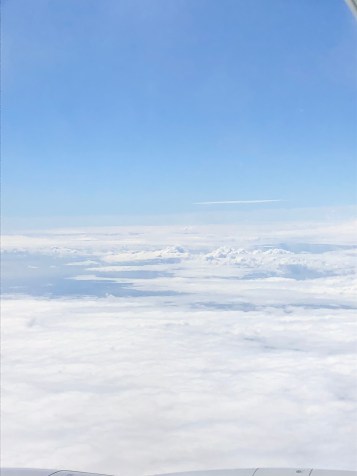 4EDED84F-457C-49EE-B70E-4FB7380EFC90